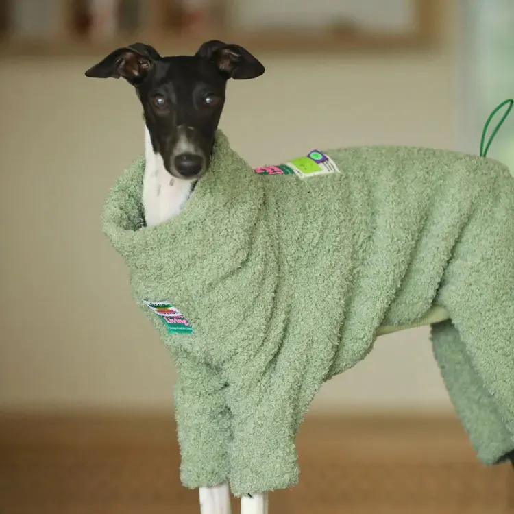 Vestuário para cães outono e inverno nuvem veludo roupas para animais de estimação pequeno e médio roupas para cães Whybit Greyhound roupas para cães acessórios ropa de perro 231024