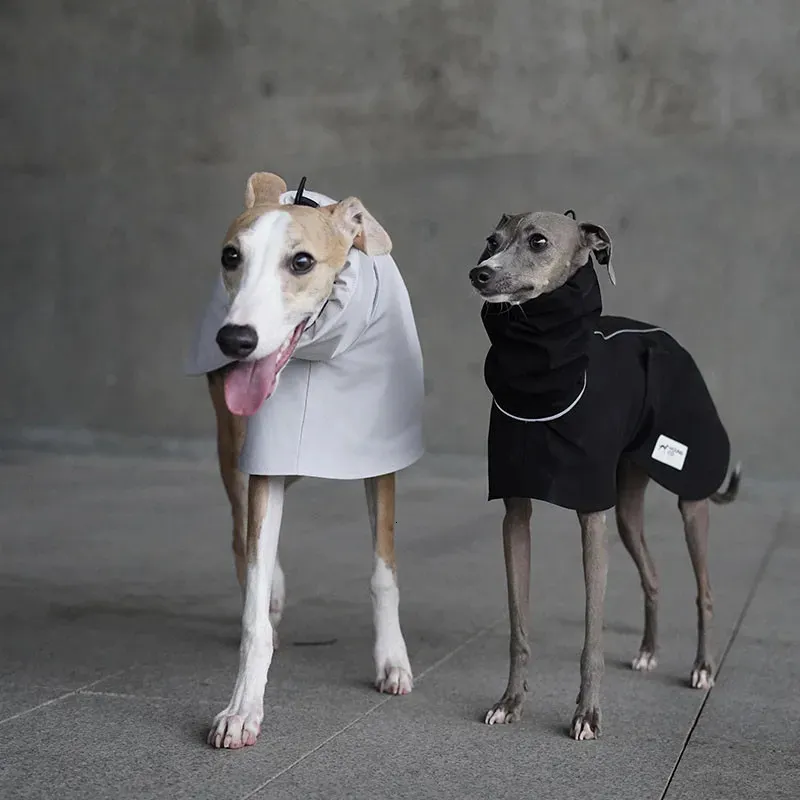 Dog Apparel Lightweight Greyhound Raincoat Windproof Waterproof Dog Jacket Whybit Italian Greyhound Clothes Luxury Dog Clothes 231024