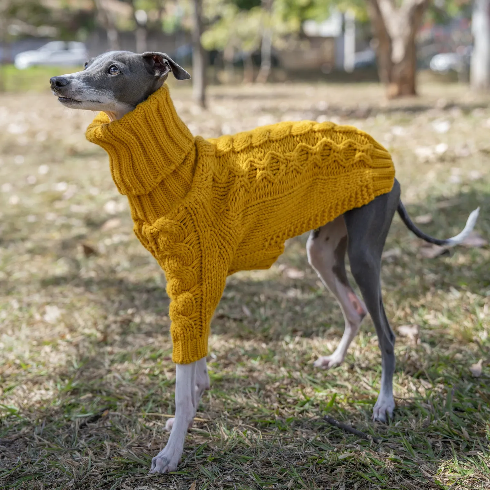 犬のアパレル暖かい秋のペットセータースタイリッシュなタートルネックイタリアのグレイハウンド服ホイペット服231024