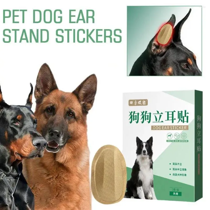 Hundkläder 2st/Set Pet Pet Ear Stand Up Stickers Correction Supplies Care Tools Bekväm effektiv