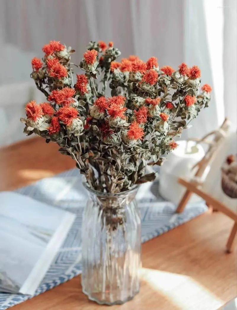 Vasos Ins Contratados Natural Laranja Abacaxi Flores Secas Buquê de Flores Secas Decoração de Sala de Estar Vermelho