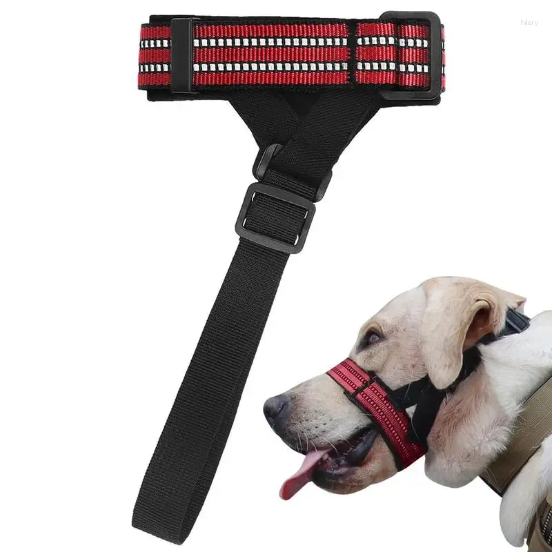 Mouth leash for dogs cheap