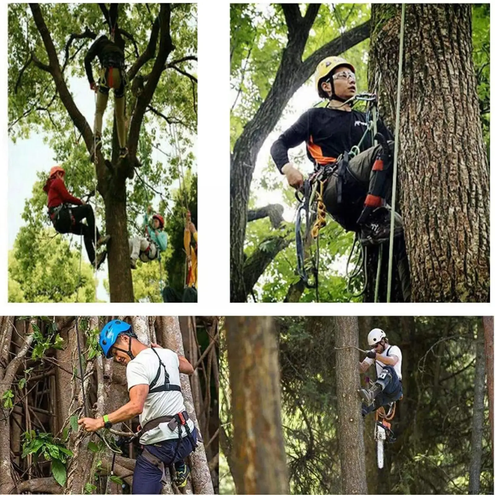 Chaussures D'Escalade D'Arbre Avec Griffes - 4 Ou 5 Pointes - Métal - Pour Travail En Hauteur, Cueillette, Sécurité - Ajustables