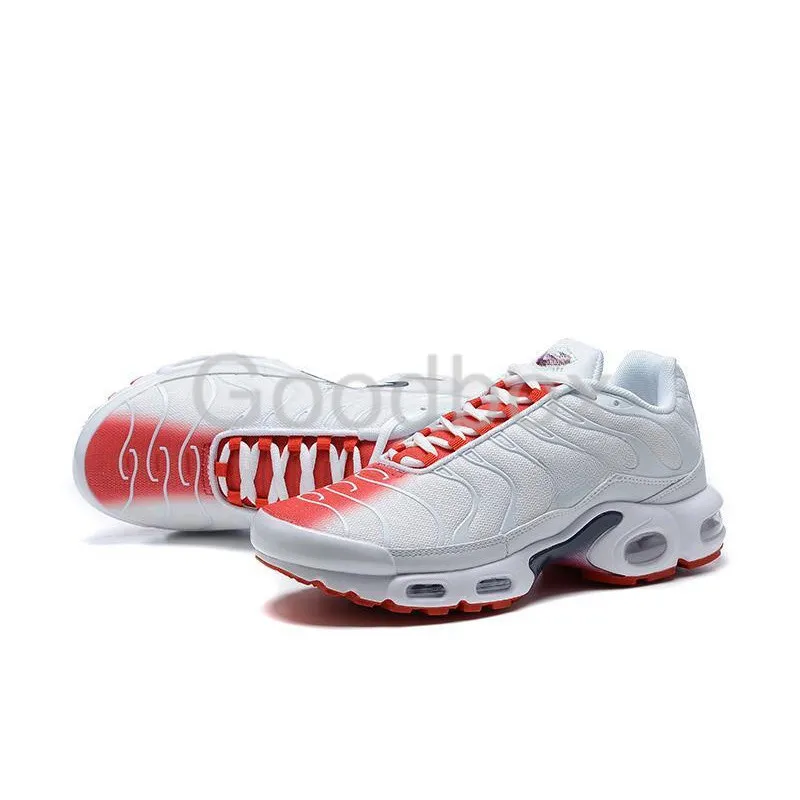 Tn or et blanche discount