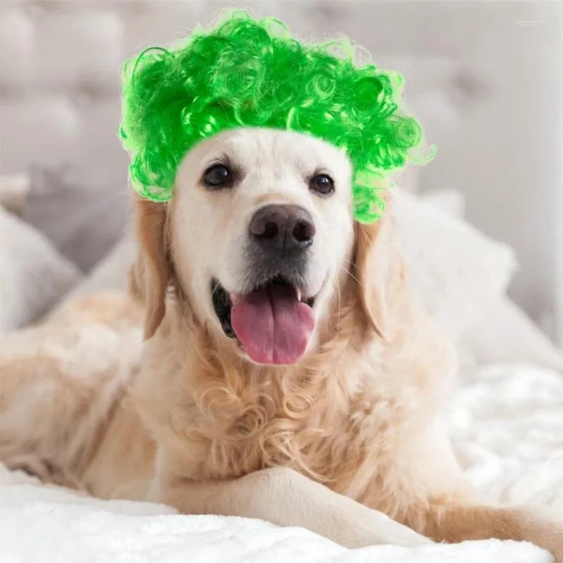 Hondendraagtas Huisdier Hoofdtooi Krullen Pruiken Kostuum Voor Klein Groot Feest Groen Haarstukje Halloween B03E