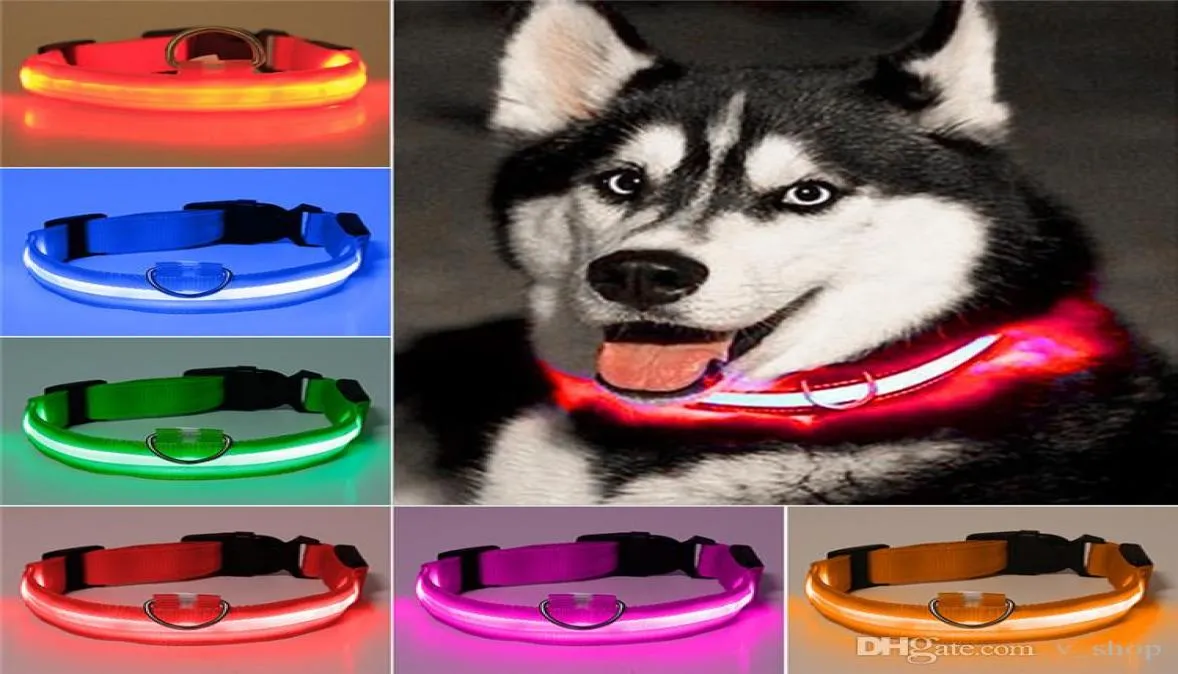 Collari per cani da compagnia in nylon a LED Luce di sicurezza notturna Lampeggiante Bagliore al buio Guinzaglio piccolo Led USB Prevenzione perdita di carica luminosa Accesso9998179