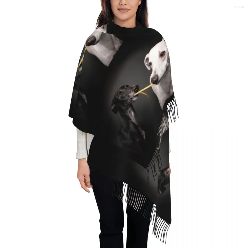 Foulards Écharpe Femme Avec Gland Greyhound Whippet Grand Super Doux Châle Wrap Lurcher Galgo Chien Cadeaux Pashmina