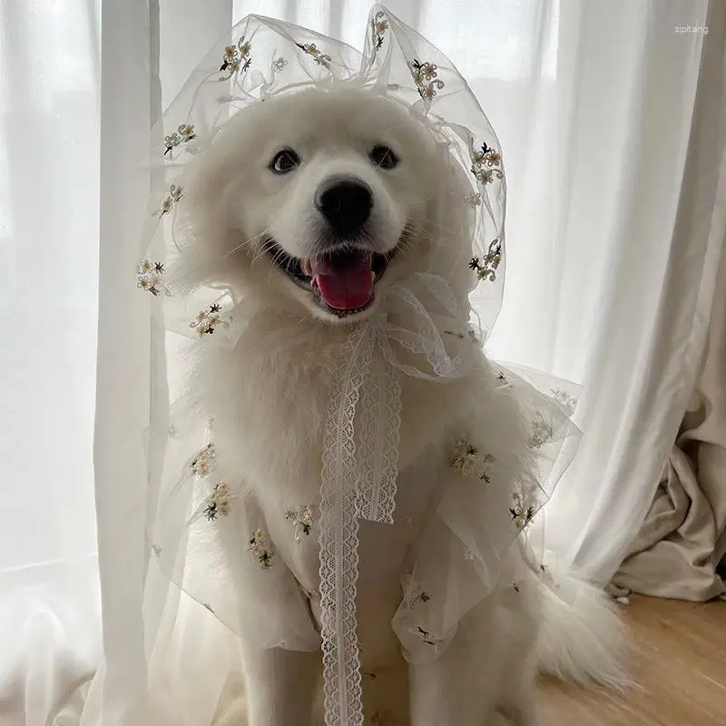 Dog Apparel Pet Medium Large Dogs Spring Summer Clothes Thin Wedding Suit Dress Satsuma Golden Hair Hat