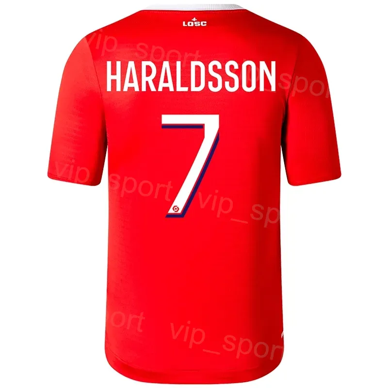 DHgate LOSC Lille Soccer Jersey Custom Name and Number 100 Polyester Short Sleeve Home and Away Sports Outdoors