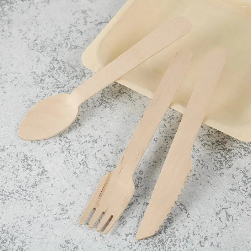 Stoviglie usa e getta 48 pezzi Set di posate in legno biodegradabile Utensili per la cena Insalata Piatti da dessert Cucchiai Forchette Coltelli Piatti per feste