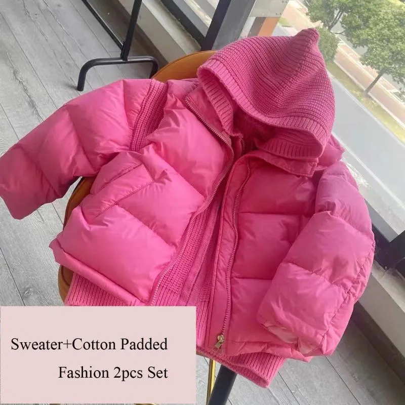 Manteau en duvet épais pour filles, 2 pièces, pull court d'hiver en coton rembourré, vêtements à capuche pour enfants, Rose jaune, vêtements d'extérieur amples, 2023, XMP580