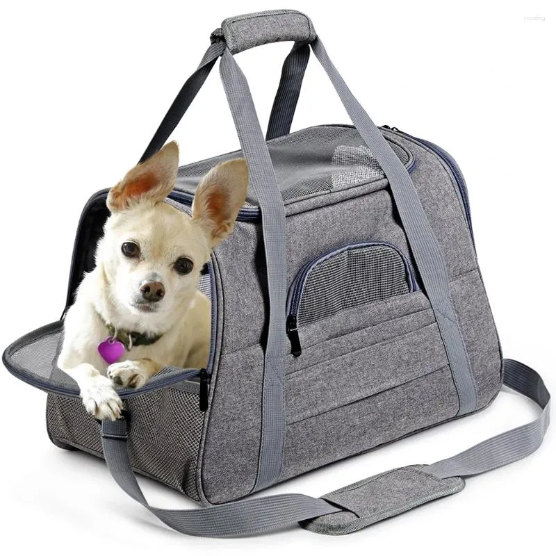 Housses de siège de voiture pour chien, sac de Transport, sac à dos Portable avec fenêtre en maille, petit Transport approuvé par la compagnie aérienne