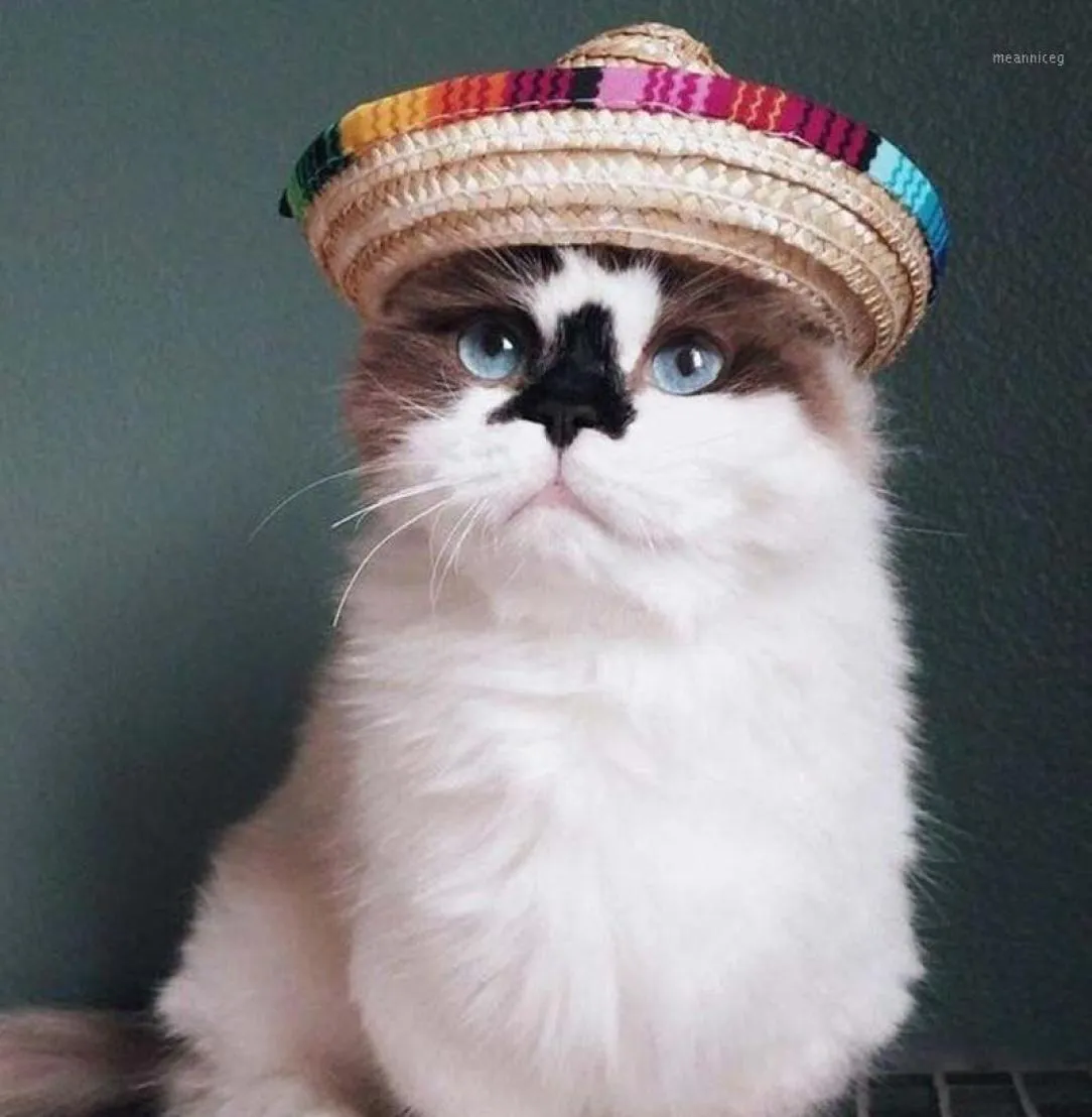 Nouveau chapeau de paille multicolore pour animaux de compagnie chien chat mexicain paille Sombrero chapeau animal de compagnie réglable boucle Costume dropship12024749