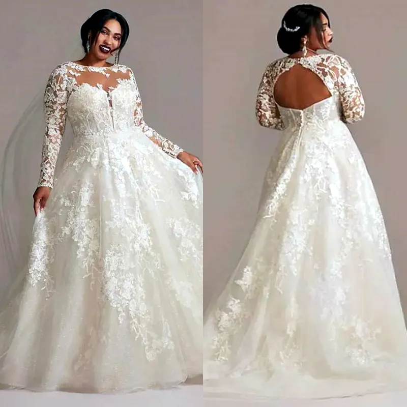 Elegant Long Sleeves Wedding Dress Lace Appliques Open Back Sexy Country Garden Bridal Gowns Court Train A Line Ivory Tulle Bride Dresses 2024