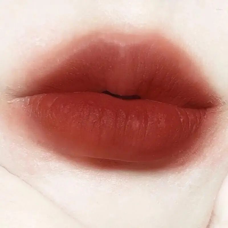 Lip Gloss Batom de longa duração úmido fosco à prova d'água suor cosméticos beleza saúde maquiagem para produtos femininos