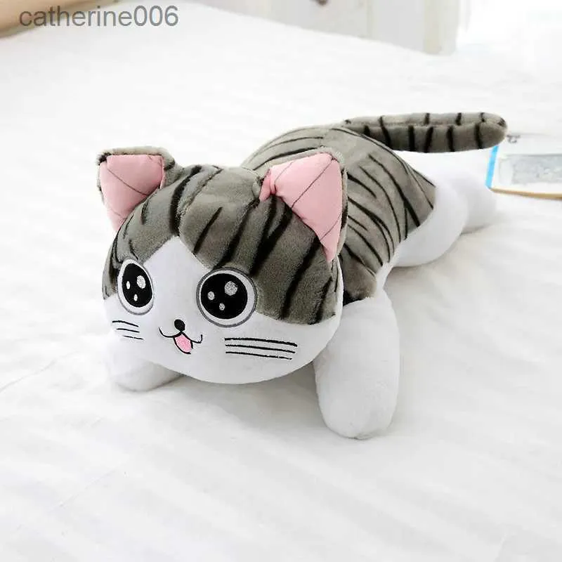 Animaux en peluche 20 cm 5 styles mignon chat jouets en peluche poupée doux animal fromage chat jouets en peluche poupées oreiller pour garçons fille cadeaux L231027