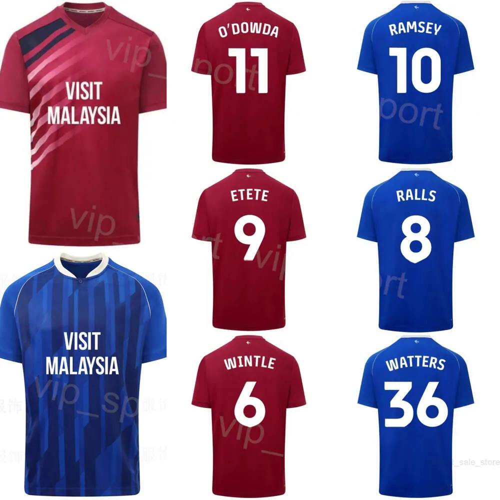 Cardiff Soccer City 12 Ike Ugbo Jerseys 2023-24 Club 38 PERRY NG 16 Karlan Grant 21 Jak Alnwick 23 Manolis Siopis 6 Ryan Wintle Football Shirt Kits Team For Sport Fans