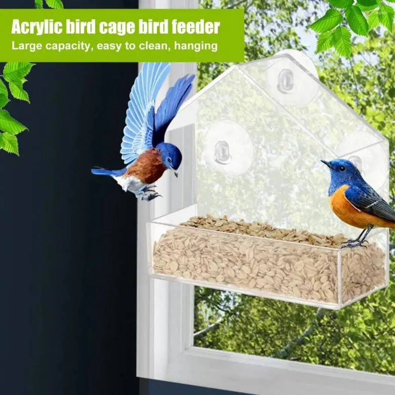 Andra fönsterfönsterfönstermonterade matare akryl med stark sugkoppdesign för gårdsträdgård lätt att rengöra matbehållare