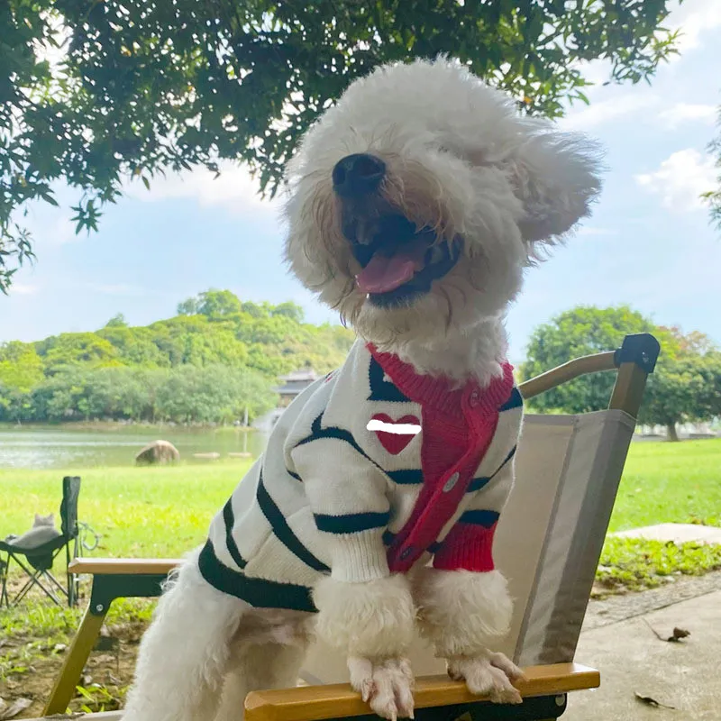 Pull de styliste à rayures contrastées pour chien, manteau pour animal de compagnie, automne et hiver, chaud, pour chien, Teddy, chat, vêtements poméraniens, 2023