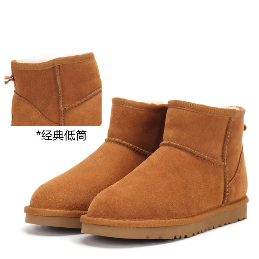 울트라 미니 부츠 스노우 부츠 플랫폼 짧은 여자 남성 여자 fursheepskin tasman boots 태즈 밤나무 모래 겨자 씨앗 베이지 색 호주 겨울 발목 slipperdd