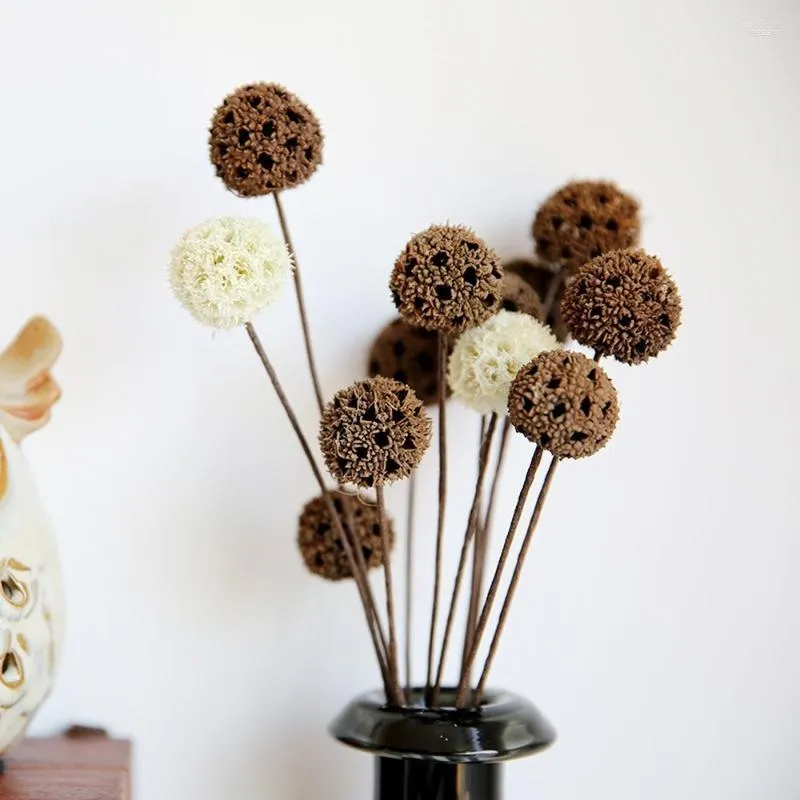 Decorazione per feste 5 pezzi/lotto fiori secchi decorativi naturali per la casa accessori per la lavorazione fai da te frutta decorazioni rustiche decorazioni di nozze