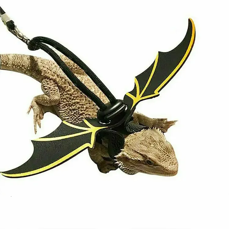 Reptiles Vest Harness with Leash for Bearded Dragon Small Reptiles Pet  Clothes Chest Harness Trainer Clothes Dropshipping - AliExpress