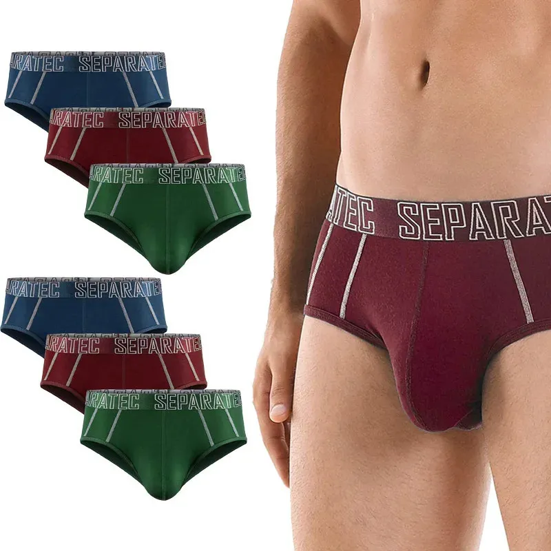 Underpants 3 Pack Separatec 남성용 부드러운 대나무 레이온 별도의 듀얼 파우치 속옷 편안한 통기성 미국 크기 SXL 231027