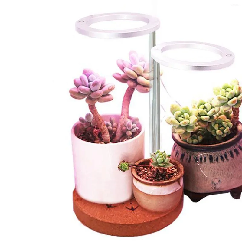 Cultiver des lumières plante lumière succulente remplissage Led anneaux ménagers plantes tige maison intérieur spectre complet lampe