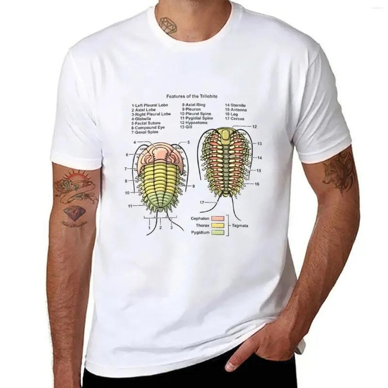 Polos Polos Trilobit Morphology Diagram T-shirt Ogólna niestandardowa koszulka ciężka Koszulka Śliczne ubrania męskie trening