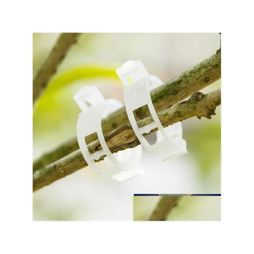 Autres fournitures de jardin Supports de plantes Clips en plastique Bague Connecte Vigne Treillis Fixation Protection Greffage Attaché Fixation Légume à DH9T1