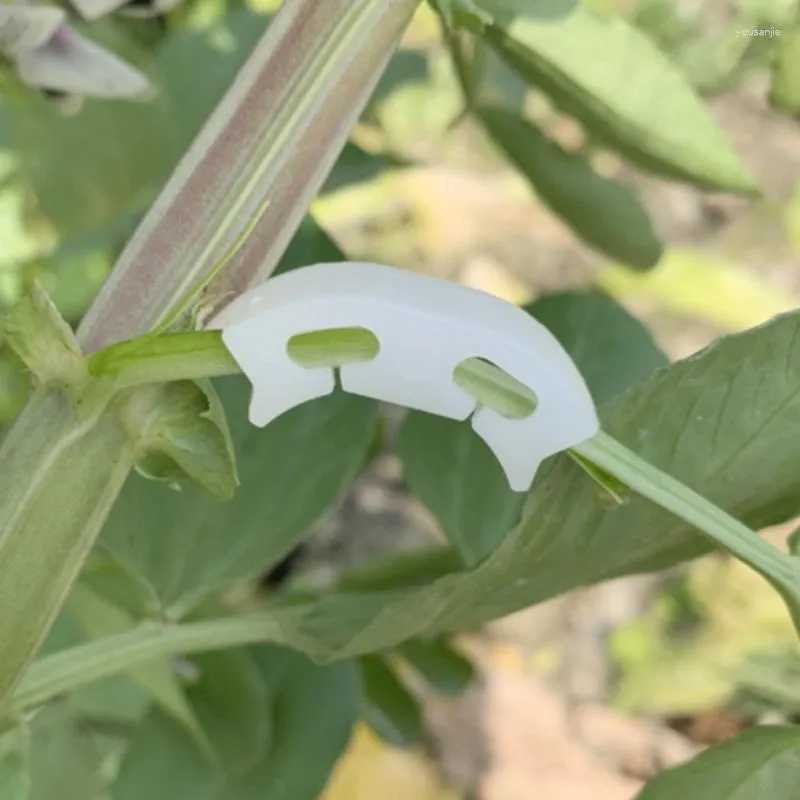 Trädgård levererar andra grönsaker tomater som fixar klämmor för att förhindra böjstöd klämma fruktblommor grön växt plantor förstärkning