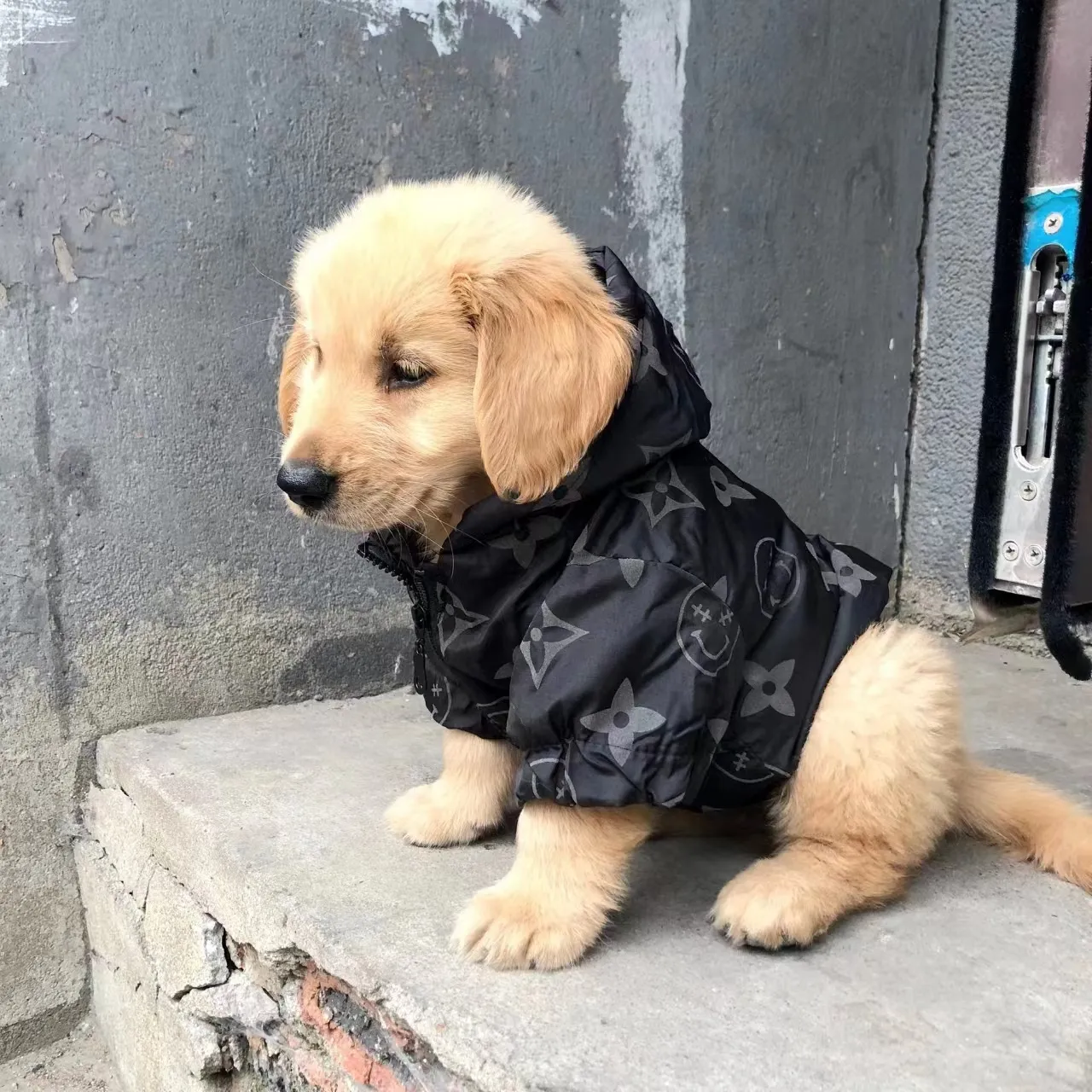 犬のペットの服の服デザイナー犬の服ハーネス濃い温かい小さなサイズの犬のパッド入りコートロゴで写真を見るために私たちに連絡してください