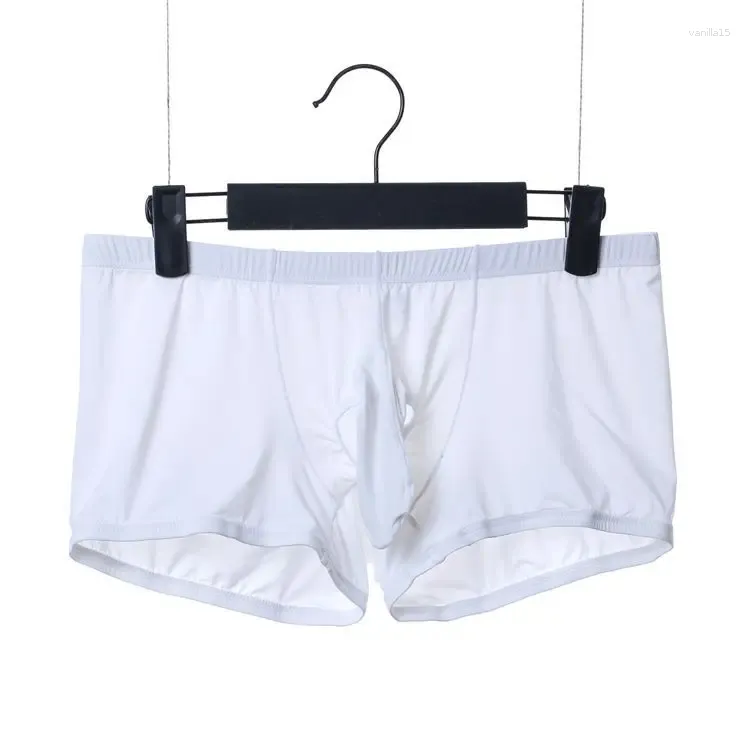 Sous-vêtements hommes glace soie pénis sous-vêtements gay éléphant nez boxer shorts sex-appeal trou convexe oeuf érotique homme tronc