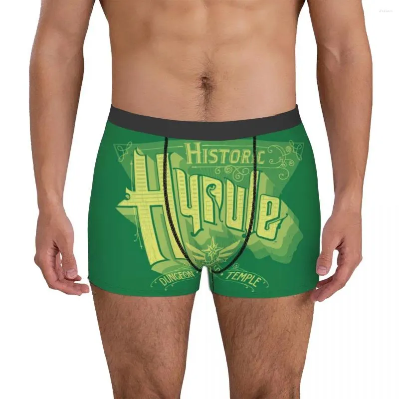 Caleçons historiques Hyrule Boxer pour hommes Shorts hommes dessin animé drôle culotte sous-vêtements doux pour