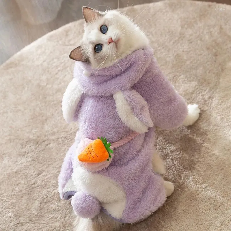 Trajes de gato gatos cães kawaii design quatro pés roupas com saco de cenoura 3d filhote de cachorro inverno quente ao ar livre role play