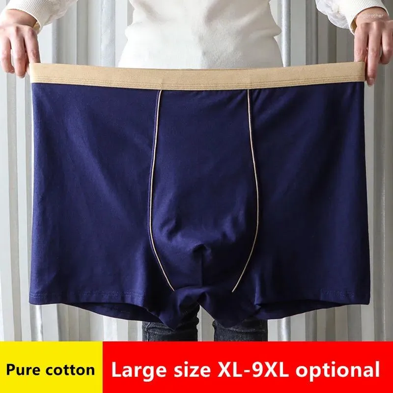 Breathable Seamless Cotton Boxer Under Shorts For Men Large Size Underwear  Pack From Youngbrother, $18.59