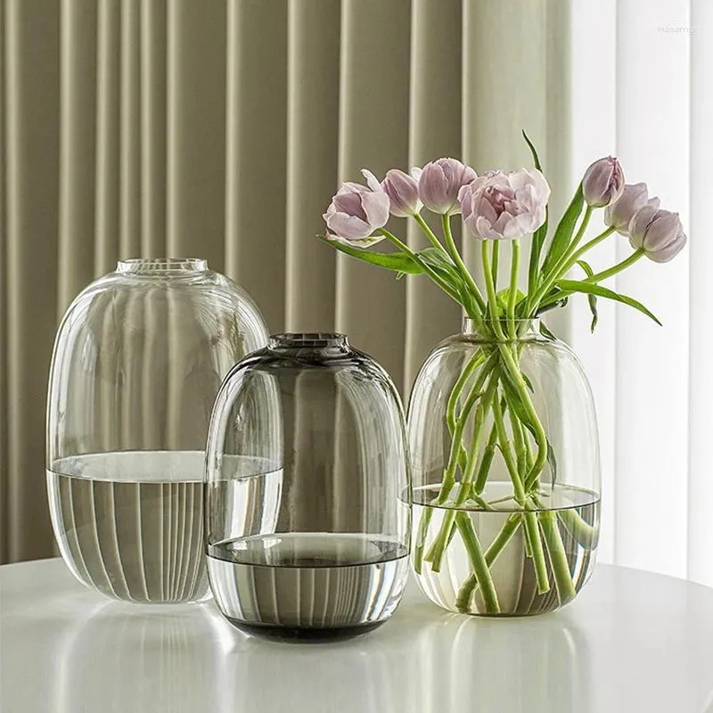 Vasi Vaso in vetro minimalista nordico con una grande pancia Senso di fascia alta Soggiorno Disposizione floreale e decorazione Artigianato