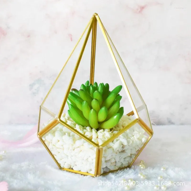 Vasi Bonsai Scatola di vetro irregolare da tavolo Succulente geometrico terrario Fioriera Vaso di fiori Muschio Felci Miniatura