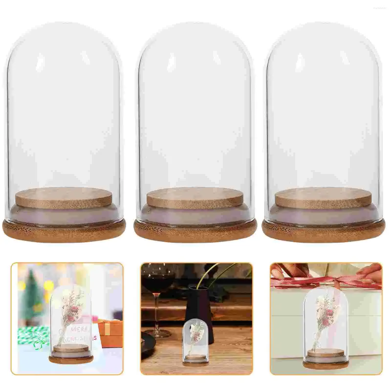 Vases 5pcs Dôme d'affichage en verre avec plateau de fleurs préservées Stand clair