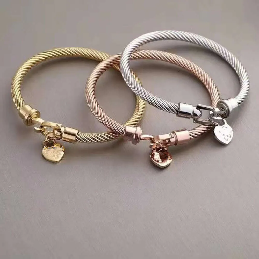 Tiffanylris bedelarmbanden hartvorm sieraden armband gegraveerd 18k goud titanium staal dames t familie klassieke perzik hart armband