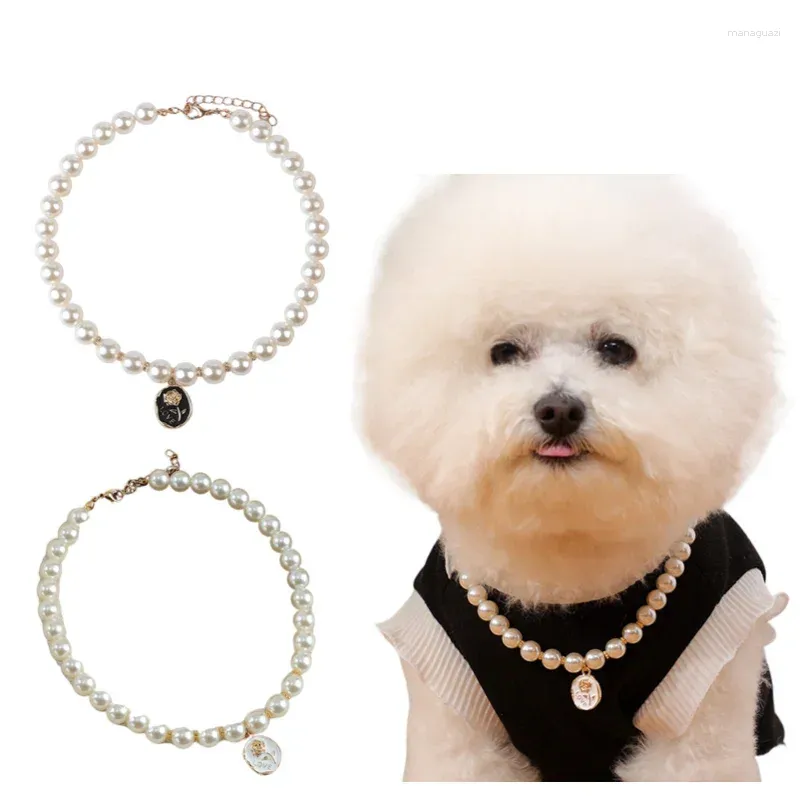 Hundhalsar katt krage pärla glänsande strass hängen söta halsband husdjur tillbehör smycken valp halskedja