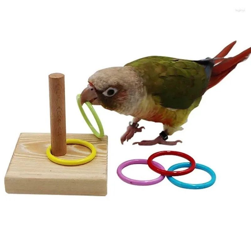 Autres fournitures d'oiseaux Anneau en plastique Jouet Ensemble de formation Bloc en bois Puzzle Perroquet Couleur Intelligence Accessoires de mastication