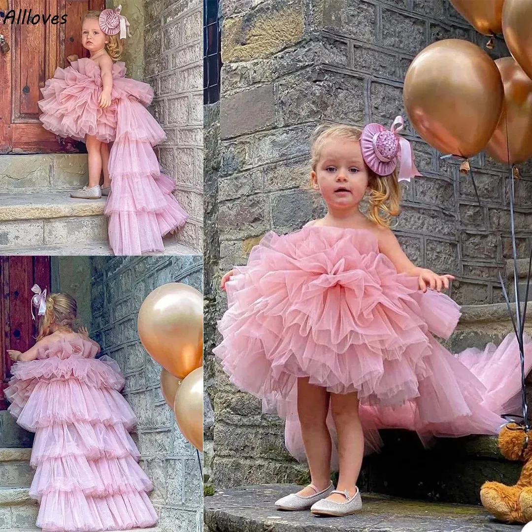 Blush Pink Tutu Skirt Flower Girl Dresses With Long Train Kids Infant Birthday Party Wedding Gowns Tiered Puffy Princess Little Girl's Pageant Communion Dress CL2796