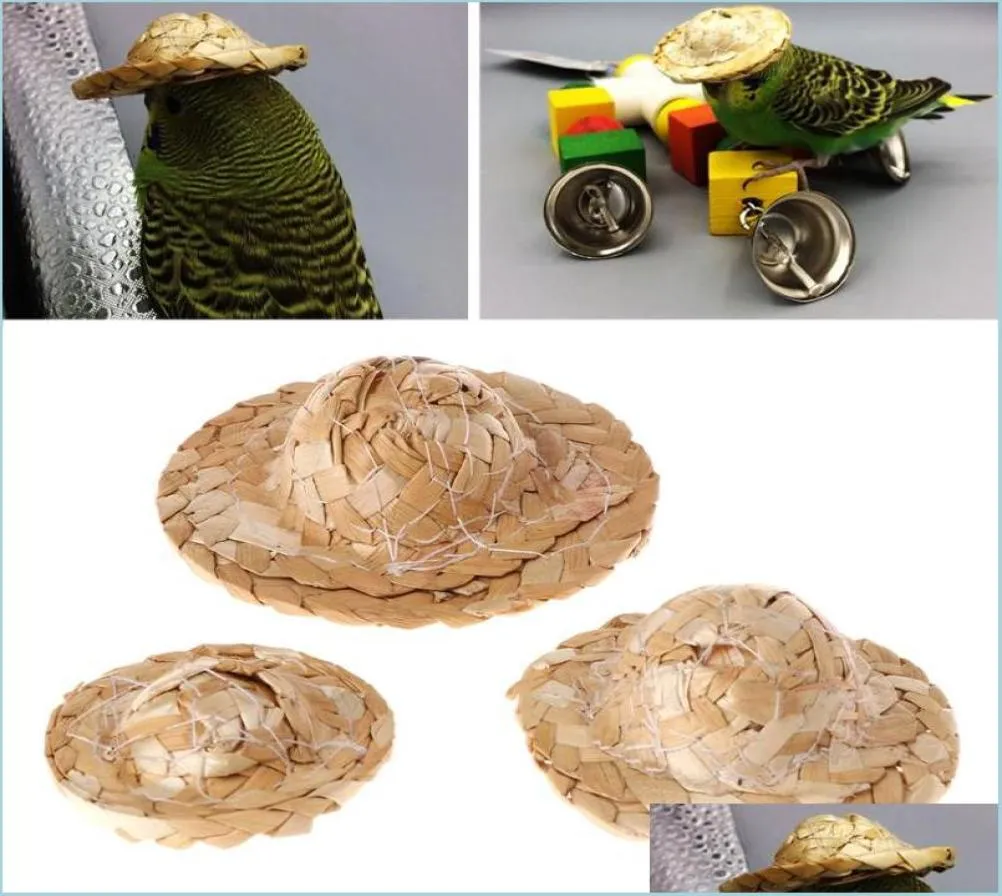 その他の鳥のサプライは、オウム鳥のために調整可能な最新の手作りセント織り帽子ヘッドアクセサリーファッショナブルなペットおもちゃの鳥の供給