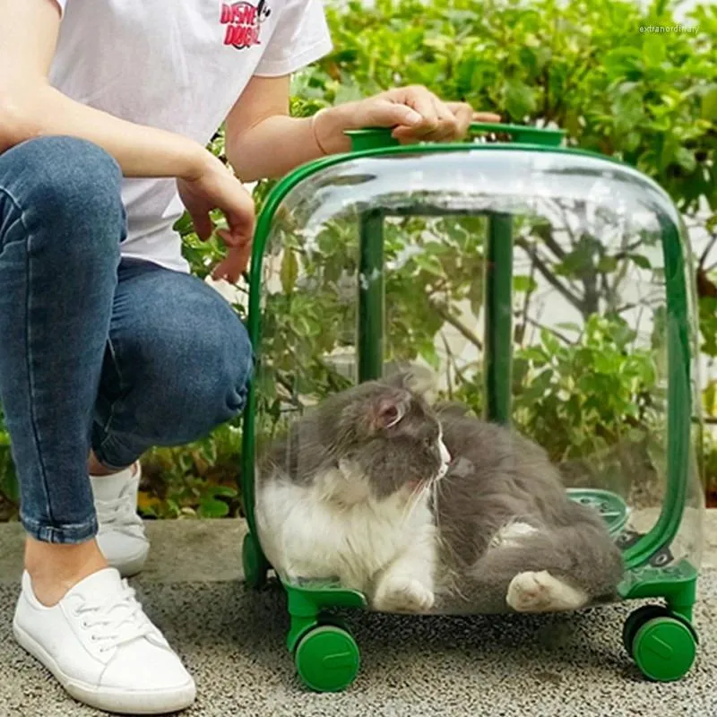 Portadores de gatos tamanho grande ventilação ao ar livre capa chuva universal mochila transparente plástico duro kattenmand suprimentos para animais de estimação