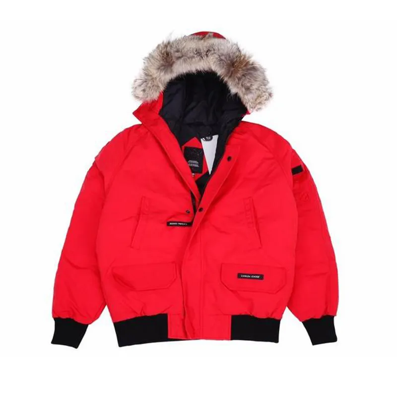 Veste de créateur femmes Goose Down Canada court pilote hommes dames couple Parka manteau épaissi et chaud imperméable et résistant au froid 35XF2