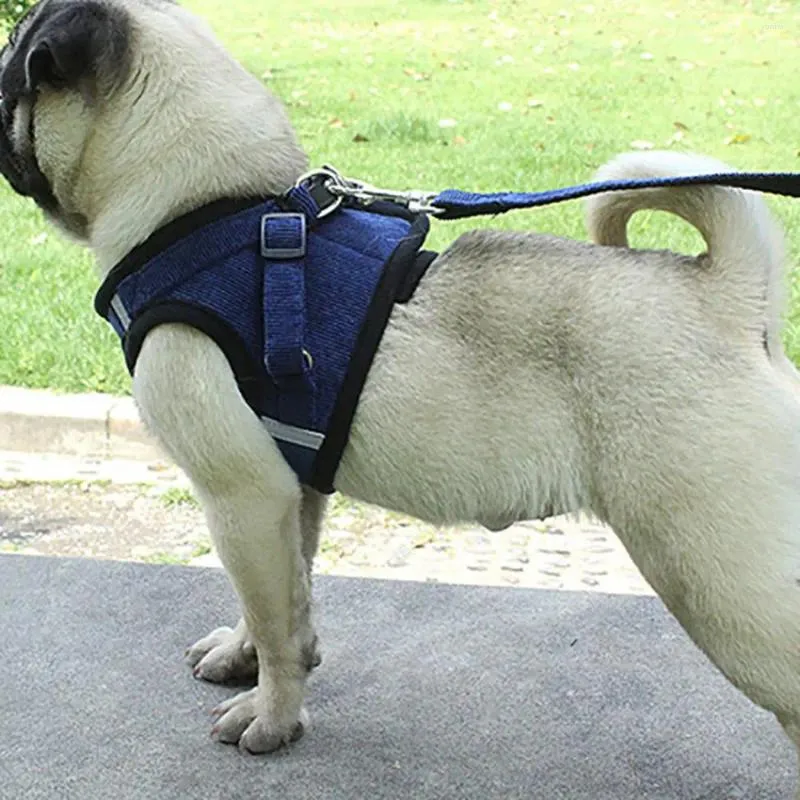 Collares para perros Arnés lindo Cachorro Moda Chaleco para caminar ajustable Conjunto de correa Suministros para mascotas