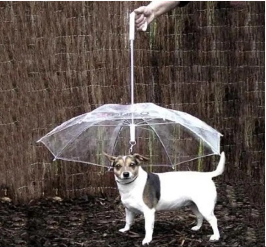 Cool Pet Supplies Användbar transparent PE Pet Paraply Small Dog Paraply Rain Gear With Dog Leads Håll PET TORR BEORT i Rain4500891