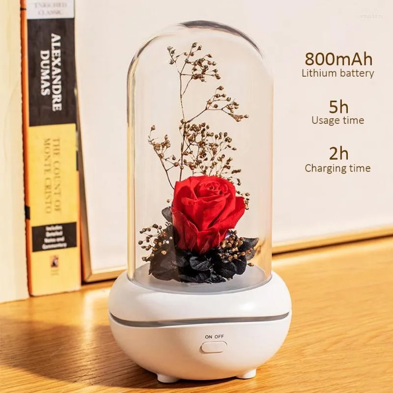 Lampe LED à cordes en forme de fleur éternelle, veilleuse en Rose préservée, cadeau de saint-valentin, décoration de maison pour chambre à coucher
