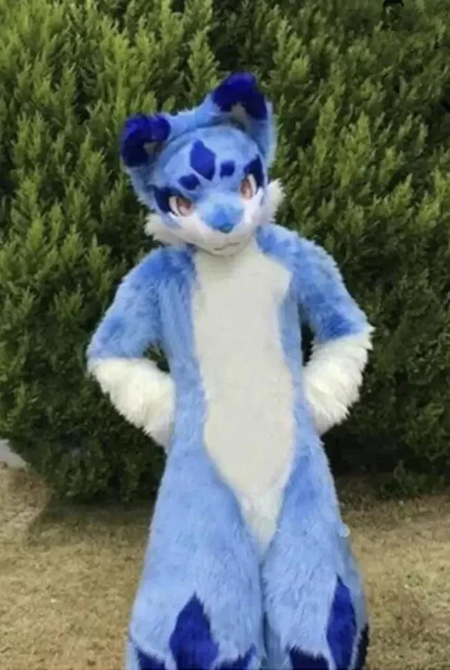 2022 Halloween Blue Husky Fursuit Costume With Long Fur For Husky, Dog ...